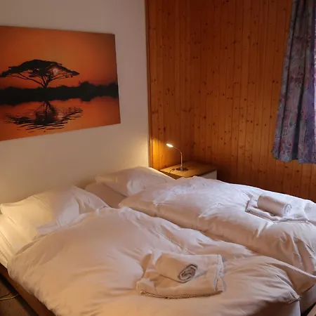 Mont-fort D1 By Interhome Lejlighed